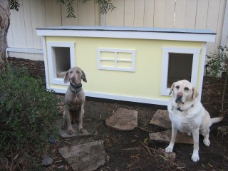 Trevor and Jake - California